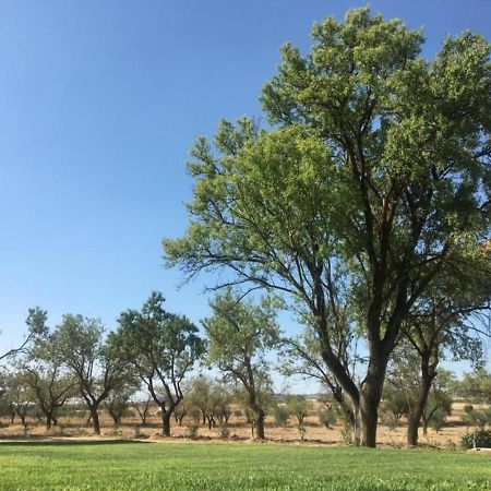 Finca El Relax Colmenar de Oreja Eksteriør bilde